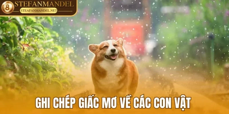 Nguyên Tắc, Cách Dùng Sổ Mơ Và Các Ghi Chép Phổ Biến 4 Ghi chép giấc mơ về các con vật